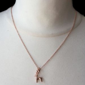Stolzer Hirsch in Rosé
